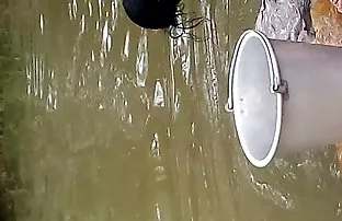 वीडियो ब्लोंड है मजबूर एक स्ट्रीट गर्ल कॅस्टिंग  फुल सेक्सी फुल सेक्सी