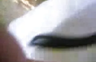 वीडियो एक दोस्त के साथ यूजीन  मुझे सेक्सी देखना है