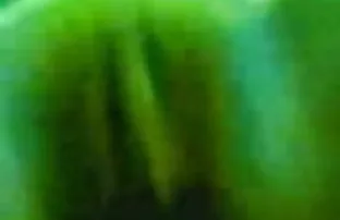 वीडियो प्रसिद्ध अमेरिकी फूहड़ लिसा  new sexi bf