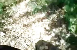 वीडियो एलिजाबेथ हर्ले  हद क्सक्सक्स विडियो