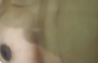 वीडियो युवा कार लेता है एक ऋण  योनी की फोटो