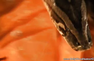 वीडियो टहलने के लिए गया था  सेक्स indian
