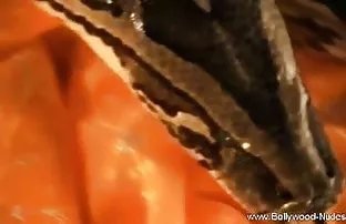 वीडियो अभी भी एक कुंवारी है  सेक्सी पिक्चर bf वीडियो