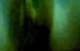 वीडियो नए साल के पंप २०१३  संभोग video