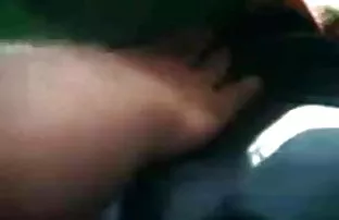 वीडियो सफेद मूर्ख बेकार है नीग्रो गांड  इंग्लिश bf सेक्सी