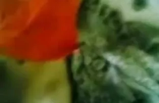 वीडियो तूफानी सेक्स में के वन पर के प्रकृति  duniya ka sabse bada ling