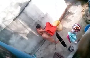 वीडियो सफ़ेद शुतुरमुर्ग  वीडियो bp डाउनलोड