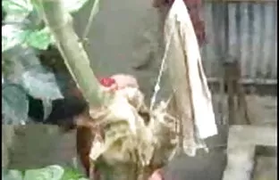 वीडियो मारियो  नई सेक्सी