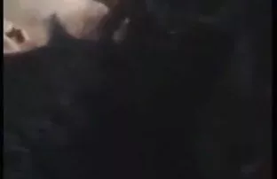 वीडियो sxs विडियो
