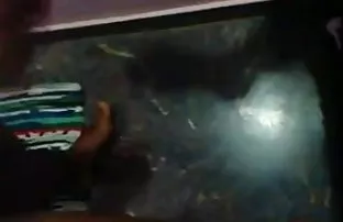 वीडियो पीने के जापानी  सेक्सी फिल्म ब्लू वीडियो