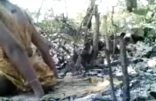 वीडियो वे जल्दी से रखी पाने के लिए और दोनों एक कैंसर की मुद्रा में थे ।  सेक्स करती हुई